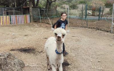 Bien être animal: sensibiliser les élèves